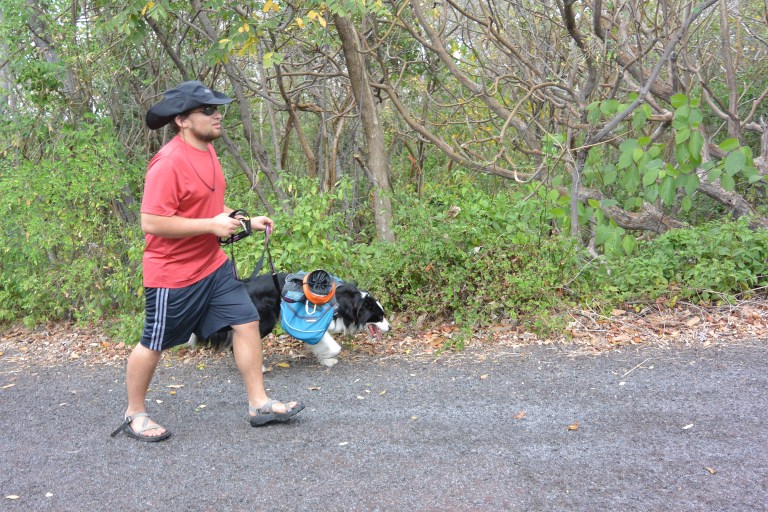 Hiking the upper section of road to the top of Masaya